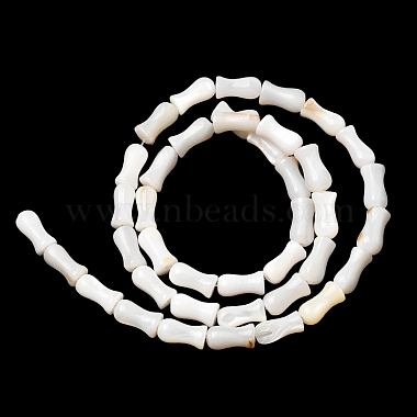 Natural Freshwater Shell Beads Strands(SHEL-K006-08)-3
