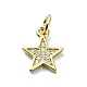 Brass Micro Pave Clear Cubic Zirconia Charms(KK-H475-59G-08)-1