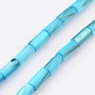 Natural Shell Bead Strands, Dyed, Column, Cyan, 8x4mm, Hole: 0.5mm, about 50pcs/strand, 15.7 inch(BSHE-P016-06)
