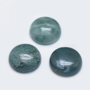 Natural Moss Agate Cabochons, Half Round, 19.5~20x6~7mm(G-G760-B02-18)