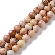 Natural Agate Beads Strands, Round, 8~8.5mm, Hole: 1mm, about 48pcs/strand, 15.75 inch(40cm)(G-C238-03B)