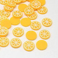 Pomelo Resin Decoden Cabochons, Imitation Food, Orange, 15x2.5mm(CRES-R183-15A)