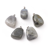 Natural Labradorite Pendants, with Platinum Tone Brass Findings, Nuggets, 23~30x13~22x12~20mm, Hole: 5x3mm(G-k302-B20)