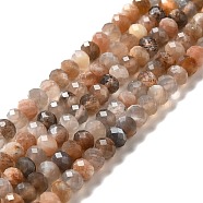 Natural Multi-Moonstone Beads Strands, Faceted, Rondelle, 5x3mm, Hole: 0.7mm, about 98pcs/strand, 15.55''(39.5cm)(G-I341-06)