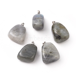 Natural Labradorite Pendants, with Platinum Tone Brass Findings, Nuggets, 23~30x13~22x12~20mm, Hole: 5x3mm(G-k302-B20)