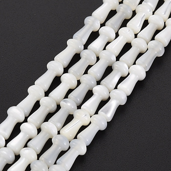 Natural Trochid Shell/Trochus Shell Beads Strands, Mushroom, White, 8x4mm, Hole: 0.5mm, about 49~50pcs/strand, 15.35 inch~15.55 inch(39cm~39.5cm)