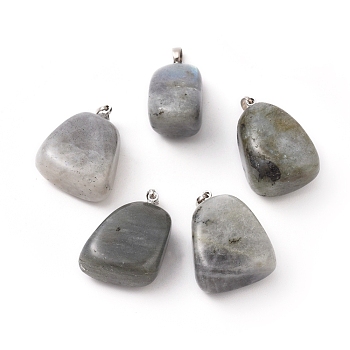 Natural Labradorite Pendants, with Platinum Tone Brass Findings, Nuggets, 23~30x13~22x12~20mm, Hole: 5x3mm