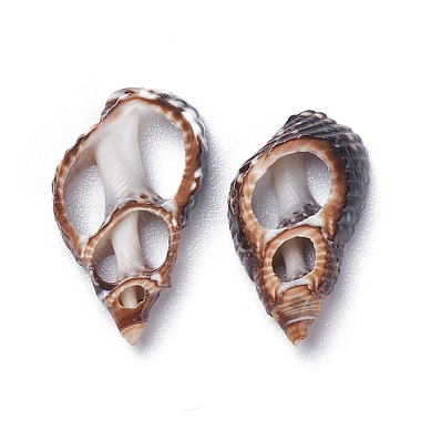 Perles de coquillage en spirale naturelle(BSHE-I016-05)-2