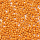 Glass Seed Beads(SEED-S060-A-F429)-3