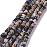 Natural Sodalite Beads Strands, Flat Round, 6x3mm, Hole: 1mm, about 119pcs/strand, 15.16 inch(38.5cm)(G-C240-04B)