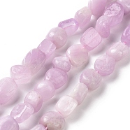 Natural Kunzite Beads Strands, Nuggets, 8~12.5x6.5~9.5x5~6.5mm, Hole: 0.8mm, about 45pcs/strand, 15.94''(40.5cm)(G-A208-01B)