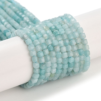 Natural Flower Amazonite Beads Strands, Faceted, Cube, Grade A, 3~3.5x3~3.5x3~3.5mm, Hole: 0.7mm, about 127pcs/strand, 15.35 inch(39cm)
