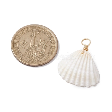 pendentifs en coquille d'arche naturelle(PALLOY-JF02679-01)-2