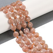 Natural Peach Moonstone Beads Strands, Faceted, Flat Round, with Seed Beads, 9.5~10x5~6mm, Hole: 1mm, about 32~34pcs/strand, 15.75~14.96''(38~40cm)(G-B094-A04-01)