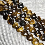 Natural Tiger Eye Beads Strands, Heart, 10x10mm, about 38pcs/strand(HEAR-PW0002-083-11)