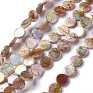 Natural Drawbench Freshwater Shell Beads Strands, AB Color Plated, Flat Round, Seashell Color, 11.5x2.5mm, Hole: 0.7mm, about 34pcs/strand, 15.16''(38.5cm)(SHEL-P015-01)