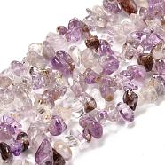 Natural Purple Lodolite Quartz Beads Strands, Nuggets, 5~14x2~7x1~6mm, Hole: 1mm, 32.67~33.07 inch(83~84cm)(G-G031-02)
