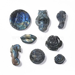 Natural Labradorite Cabochons, Grade AB, Mixed Shapes, 22.5~48x23~48.5x10~15mm(G-G985-04)