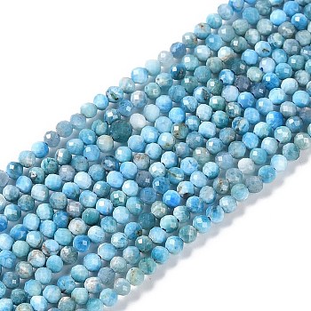 Natural Apatite Beads Strands, Faceted, Round, 3x2.5mm, Hole: 0.6mm, about 151~153pcs/strand, 15.35''(39cm)