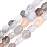 Natural Botswana Agate Beads Strands, Tumbled Stone, Nuggets, 5~13x5~10x3~8mm, Hole: 1mm, about 40~60pcs/strand, 14.57 inch~15.74 inch(37~40cm)(G-S359-156)