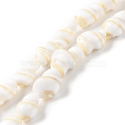 Natural Shell Beads Strands, Conch, Seashell Color, 9~22x5~13mm, Hole: 0.8mm, about 27~28pcs/strand, 15.47''(39.3~39.5cm)(BSHE-D020-01)