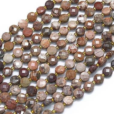 Flat Round Bloodstone Beads