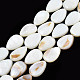 Natural White Shell Beads Strands(PBB263Y-1)-6