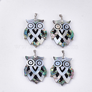 Mixed Shell Big Pendants, with Brass Findings, Owl, Platinum, 50~53x37.5~40x4~5mm, Hole: 6x4mm(SHEL-S275-16)