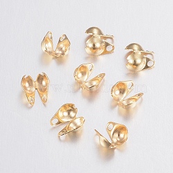 304 Stainless Steel Bead Tips, Calotte Ends, Clamshell Knot Cover, Golden, 6x4x3mm, Hole: 1mm, Inner Diameter: 3.5mm(STAS-H436-26)