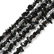 Natural Golden Sheen Obsidian Beads Strands, Chip, 1.5~4.5x3~13x2.5~8mm, Hole: 0.6mm, 30.94~31.97 inch(78.6~81.2cm)(G-G0003-B33-01)