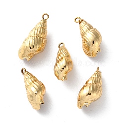 Electroplated Natural Conch Shell Pendants, Shell Shape Charms, Golden, 20~26x9~11x9~10mm, Hole: 1.8mm(SSHEL-B002-01G-01)