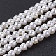 shell brins perle de perles(X-BSHE-P023-5mm)-1