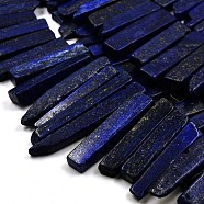 Chip Natural Lapis Lazuli Graduated Beads Strands, Dyed & Heated, 23~62x10~12x4~6mm, Hole: 2mm, about 38pcs/strand, 15.3 inch(G-P064-04)