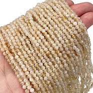 Natural Citrine Beads Strands, Faceted, Round, 3mm, Hole: 0.8mm, about 124pcs/strand, 15.35''(39cm)(G-H002-A01-01)