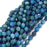 Natural Apatite Beads Strands, with Seed Beads, Faceted, Bicone, Double Terminated Point Prism Beads, 5~7x6mm, Hole: 0.8mm, about 48pcs/strand, 15.55 inch(39.5cm)(G-O201B-04)