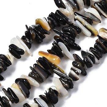 Natural Black Lip Shell Beads Strands, Chip, Black, 1~5x5~18x3~7mm, Hole: 0.7mm, about 200~220pcs/strand, 15.75 inch(40cm)