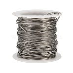 304 Stainless Steel Wire, Round, Stainless Steel Color, 0.8mm, 20 Gauge(STAS-A115-01P-0.8mm)