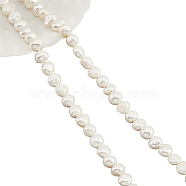 2 Strands Natural Cultured Freshwater Pearl Beads Strands, Two Sides Polished, Creamy White, 7~8x7~8x4~6mm, Hole: 0.7mm, about 53~54pcs/strand, 13.98 inch~14.37 inch(35.5~36.5cm)(PEAR-NB0001-79)