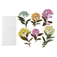 6Pcs PET Self Adhesive Plant Decorative Stickers, Waterproof Vintage Floral Decals, for DIY Scrapbooking, Colorful, 111~191x101~113x0.1mm(AJEW-Q146-01E)