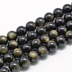 Natural Golden Sheen Obsidian Beads Strands, Grade A, Round, 16mm, Hole: 2mm, about 24pcs/strand, 14.96 inch(38cm)(G-R446-16mm-23)