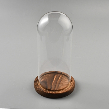Glass Dome Cover, Decorative Display Case, Cloche Bell Jar Terrarium with Wood Base, for DIY Preserved Flower Gift, Camel, 113.5x215mm