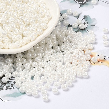 Glass Seed Beads(X1-SEED-H002-E-A121)-1