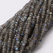 Faceted Rondelle Natural Labradorite Bead Strands, 3x2mm, Hole: 1mm, about 172pcs/strand, 15 inch(G-M298-25)