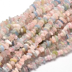 Natural Morganite Chip Beads Strands, 5~14x4~10mm, Hole: 1mm, about 15.5 inch~16.1 inch(X-G-E271-84)