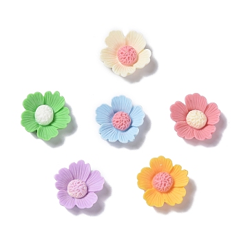 Opaque Resin Cabochons, Flower, Mixed Color, 20.5x20x5.5mm