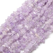 Natural Amethyst Beads Strands, Chips, 6~10x4~6x3~!5mm, Hole: 1mm, about 32 inch(G-P035-12)