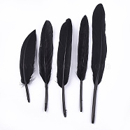Goose Feather Costume Accessories, Dyed, Black, 105~157x16~22mm, about 500pcs/bag(FIND-T037-01A)