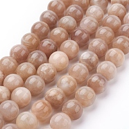 Natural Sunstone Beads Strands, Round, Sandy Brown, 10mm, Hole: 1mm, about 19pcs/strand, 7.8 inch(X-G-G099-10mm-14)