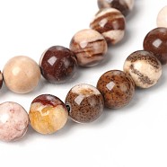 Natural Zebra Jasper Round Bead Strands, 6mm, Hole: 1mm, about 62pcs/strand, 15.5 inch(G-M172-6mm-02-1)