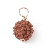 Round Natural Wood Pendants, Sienna Rudraksha Charms, with Copper Wire, Golden, 16~19.5x9~10.5mm, Hole: 3.5mm(PALLOY-JF01993-01)